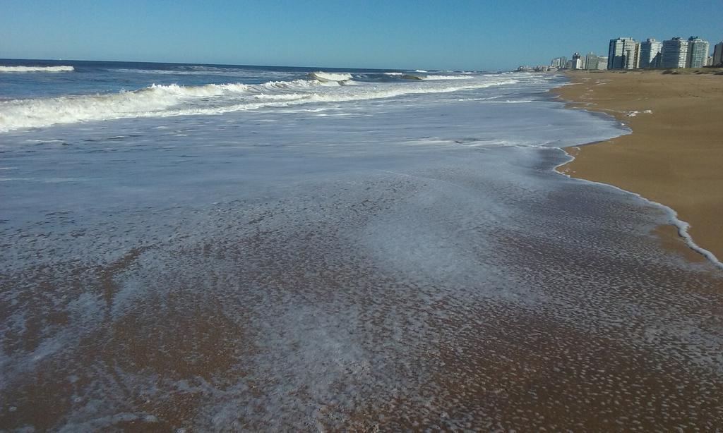 Spiaggia Brava Punta プンタ・デル・エステ エクステリア 写真